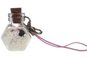 Deko mit kleinem Haken, phosphoreszierend  für Gastgeschenke-Schlüssel-Telefon-εικόνα_σύνθεση