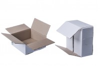 Carton blanc triple cannelure, 20,5x19,5x8,5 – 25 pièces
