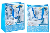 Geschenktasche laminiert mit Henkel aus Satin 210x100x260 mm Geschenktasche laminiert mit Henkel aus Satin 210x100x260 mm