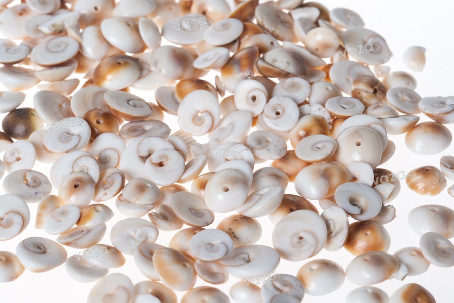 Beige-brown decorative seashells - Available in a package of 200 gr. (approx. 200 pieces)