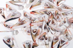 Coquilles pour la décoration - lot de 25 pièces-2