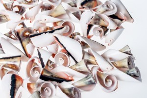 Conchiglie decorative – pacchetto da 200 gr (circa 37pz)-2