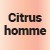 Citrus homme [9985] 