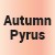 Autumn Pyrus [9998] 