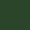 1101-20-1-99 (Vert foncé) 