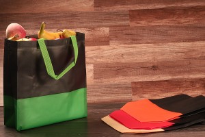 Sacs écologiques, non tissés et recyclables avec laminage et poignée 270 x 110 x 320 mm - 50 pcs-2