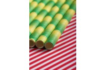 Pailles écologiques en papier 197x6mm- paquet de 25 pièces