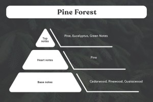 Pine Forest Duftende Sojakerze mit Holzdocht (110 gr)-3
