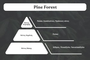 Pine Forest Duftende Sojakerze mit Holzdocht (110 gr)-2