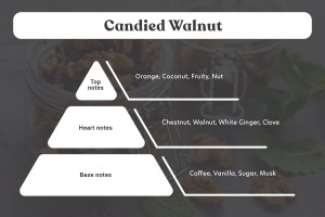 Candied Walnut Duftöl 100ml-εικόνα_σύνθεση