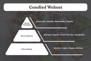 Candied Walnut Duftöl 100ml-εικόνα_διαστάσεις