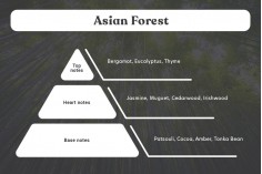 Huile de parfum Asian Forest de 100 ml