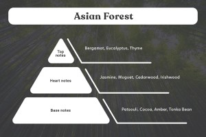 Asian Forest Duftöl 100ml-εικόνα_σύνθεση