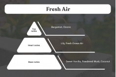 Huile de parfum Fresh Air de 100 ml