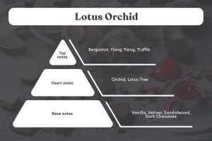 Huile de parfum Lotus Orchid de 30 ml pour bougies-3