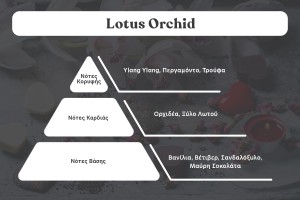 Huile de parfum Lotus Orchid de 30 ml pour bougies-2