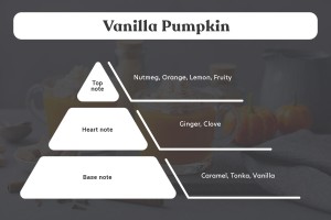Vanilla Pumpkin Bougie de soja aromatique avec mèche en bois (110gr)-εικόνα_σύνθεση