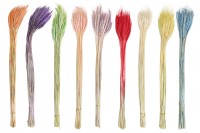 Dried flowers in different colors for decoration - 1 piece (bouquet with about 50 branches)