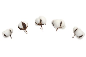 Fleurs décoratives en coton - 5 pièces-εικόνα_διαστάσεις