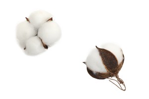 Fleurs décoratives en coton - 5 pièces-εικόνα_προϊοντική