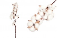 Branche décorative - fleur de coton