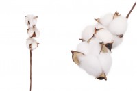 Branche décorative - fleur de coton