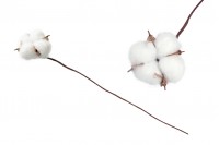 Decoration cotton flower