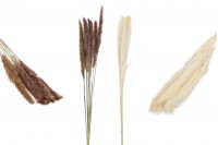 Dried flowers for decoration - 1 piece (bouquet with about 7 branches)