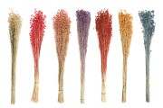 Dried flower decoration bunch