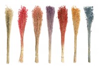 Dried flower decoration bunch