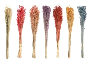 Fleurs décoratives séchées - bouquet
