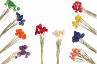 Colorful dried flowers, perfect ornament and decoration idea - 1 bunch (approx. 50 pieces per bunch)