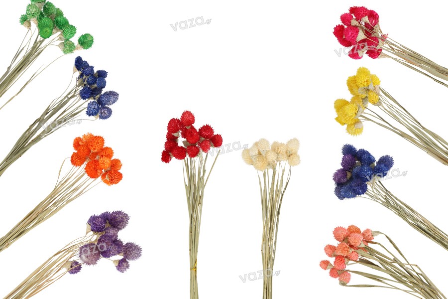 Αποξηραμένα λουλούδια για στολισμό και διακόσμηση - 1 τμχ (μπουκέτο με περίπου 15 κλαδιά)