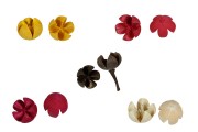 Dried fruits for decoration in various colors - 10 pcs