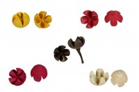 Dried fruits for decoration in various colors - 10 pcs