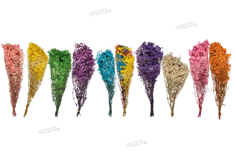 Fleurs décoratives séchées - bouquet de 100 g