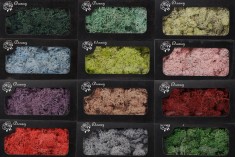 Dried decorative mosses in various colors - 200 g package