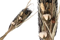 Decorative dried flowers 1.1 m in bouquet-produktbild