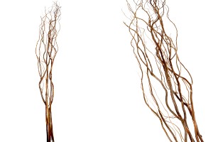 Decorative dried branches 1.5 m - bouquet of 5 pcs-1