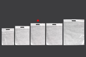 Beutel 300x450 mm Kunststoff (PE) mit Reißverschluss - 20 Stück-εικόνα_σύνθεση
