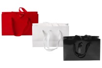 Geschenktüte 250x80x150 mm mit Griff und Bändchen zum Binden in verschiedenen Farben - 20 Stck Geschenktüte 250x80x150 mm mit Griff und Bändchen zum Binden in verschiedenen Farben - 20 Stck