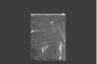 PE zipper bags in size 220x300 mm - 50 pcs