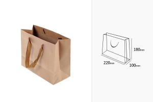 Geschenktasche aus Kraftpapier mit hellbraunem Henkel 220x100x180 - 20 Stk-2