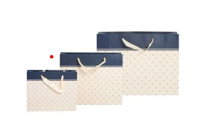 Geschenktasche mit Henkel aus Satin 250x80x200 mm in verschiedenen Farben-3