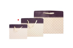 Geschenktasche mit Henkel aus Satin 250x80x200 mm in verschiedenen Farben-5