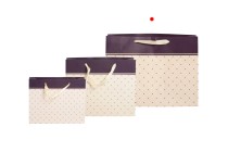 Geschenktasche mit Henkel aus Satin 410x130x310 mm in verschiedenen Farben Geschenktasche mit Henkel aus Satin 410x130x310 mm in verschiedenen Farben