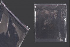 Σακουλάκια διαφανή με αυτοκόλλητο κλείσιμο 210x250 mm - 1000 τμχ