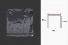 Σακουλάκια διαφανή με αυτοκόλλητο κλείσιμο 230x340 mm - 1000 τμχ