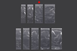 Sachets en plastique avec fermeture éclair 100 x 250 mm - 100 pcs-εικόνα_σύνθεση