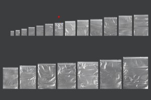 Sachets en plastique avec fermeture éclair 100 x 150 mm - 100 pcs-7